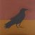 Standing-raven-sophy-white.jpg
