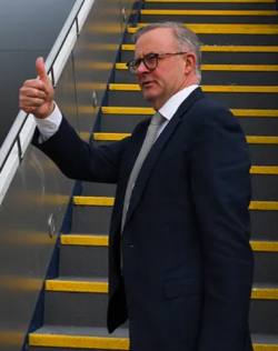 Albo.png