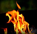 Flame - Flickr - Stiller Beobachter.jpg