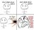 Don't think about spiders.jpg