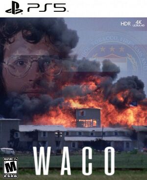 Wacovideogame.jpg