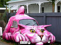 Cat car.jpg
