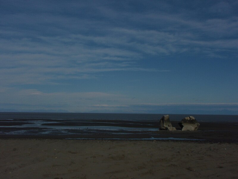 800px-Clam_Gulch_Beach%2C_Alaska%2C_Razor_Clam_Diggin%27_5-09_-_panoramio.jpg