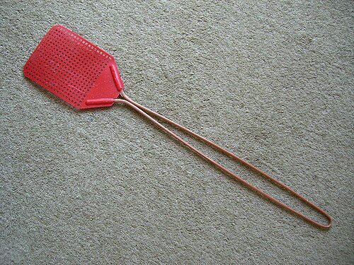 Fly swatter.jpg