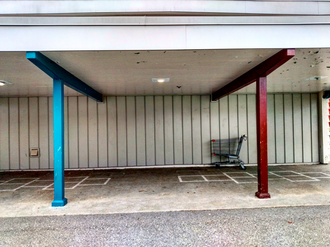 Lone Shopping Cart Goes to School.webp