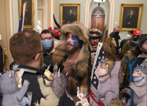 MAGA Riot 1-6-2021 Where the Wild Things Are.png