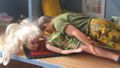 Thumbnail for version as of 01:19, 27 February 2008
