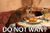 Do not want cat.jpg