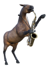 Saxahorse.png