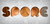 Spornlogo.png