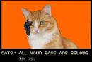 Cats5.JPG