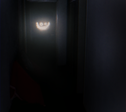 Entity 3, the Smilers.png