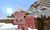 Pigs2.jpg