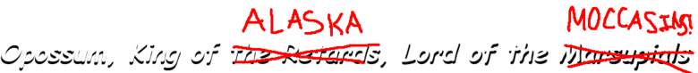 Opossumkingoftheretards.png