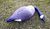 Plasticgoose.jpg