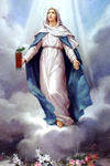 The Virgin Mary with a Virgin Mary