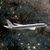 Xenu space planedfg.jpg