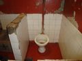 JFC Toilet viewing.jpg