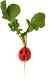 Radish.JPG
