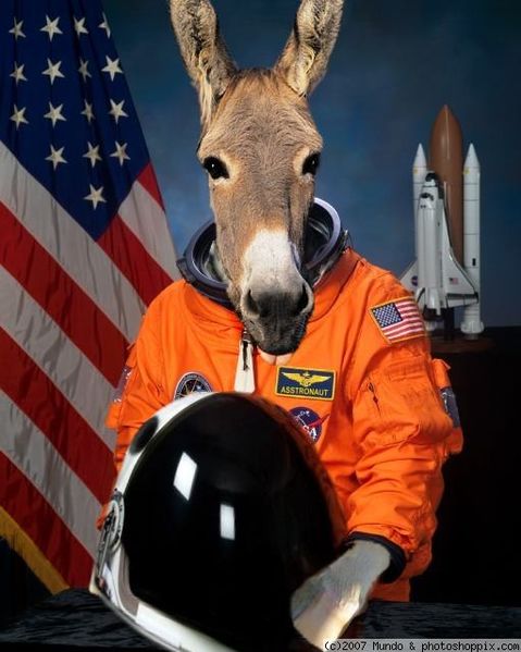 File:Asstronaut.jpg