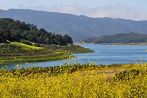 Lake Casitas - panoramio.jpg