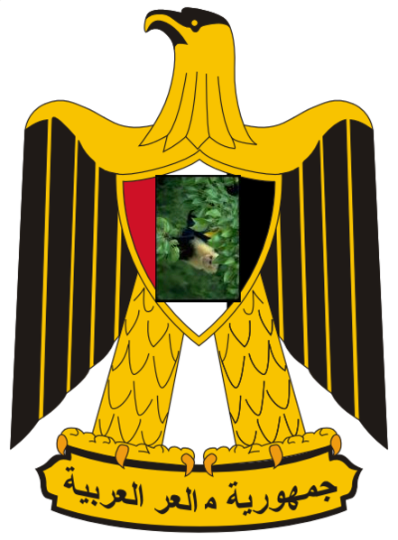 File:Aswen coat of arms.png
