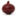 Blood onion.png