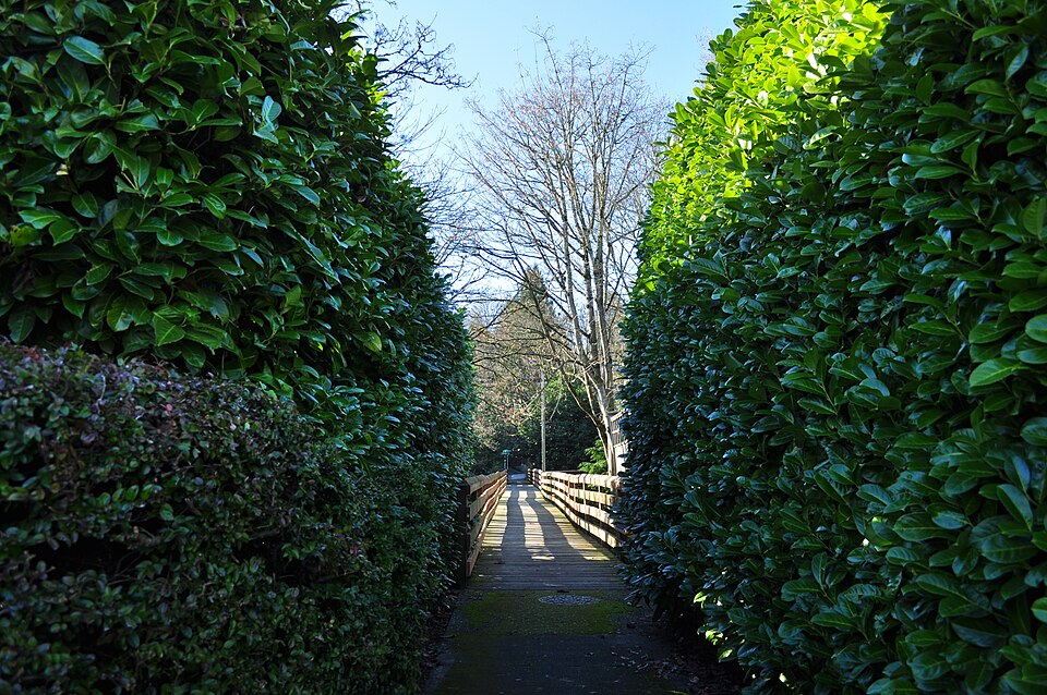 960px-Seattle_-_Pine_Street_pedestrian_bridge_in_Madrona_04.jpg