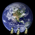Earth With Penguins.jpg