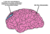 Brain.png