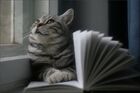 Cat with gospel.jpg