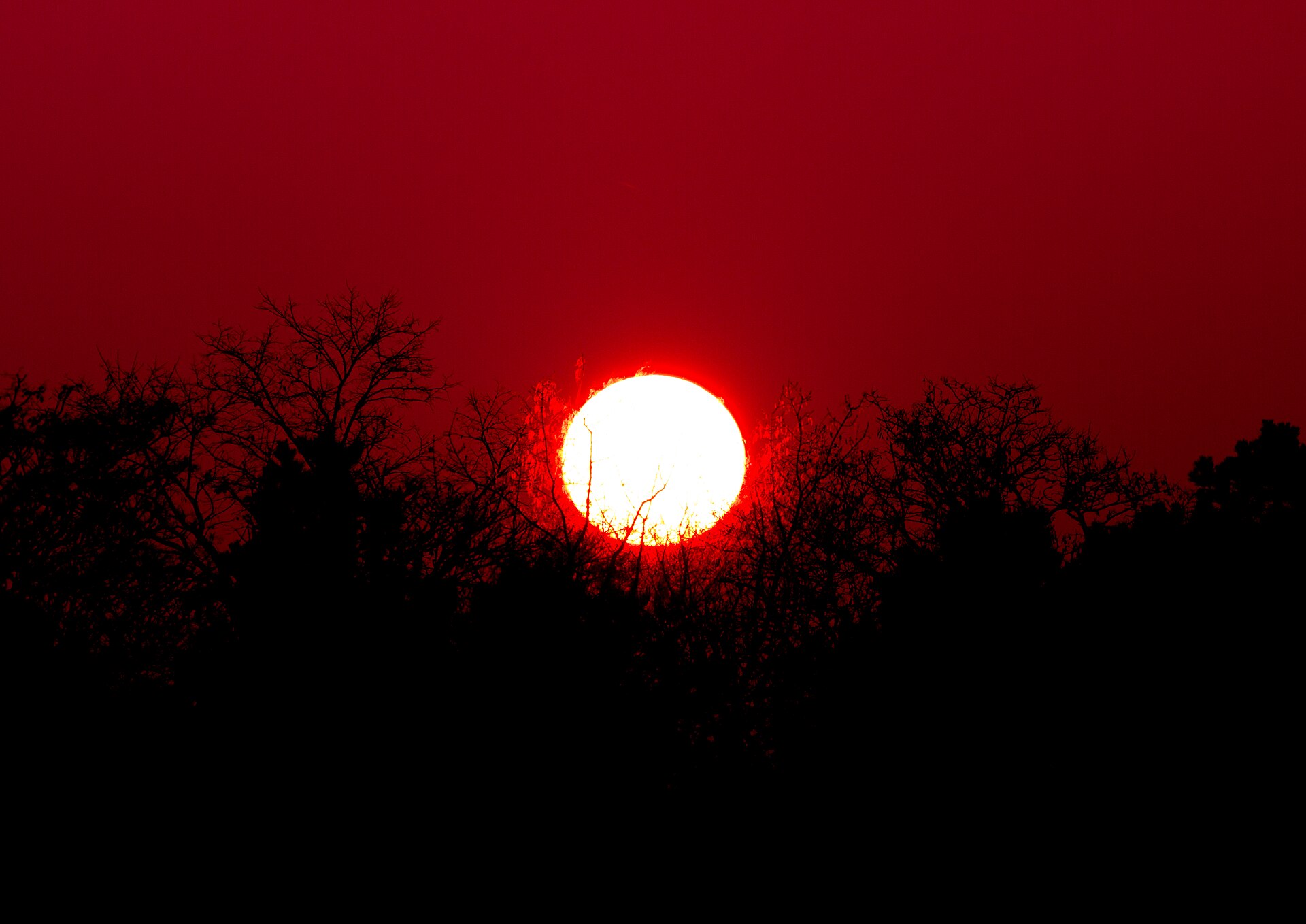 ThomasHirsch RedSun.jpg