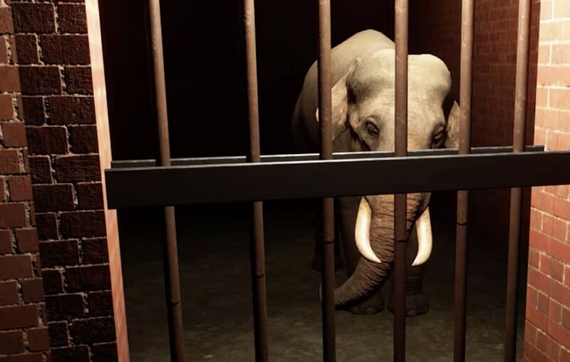 File:Zoo prison elephant.jpeg