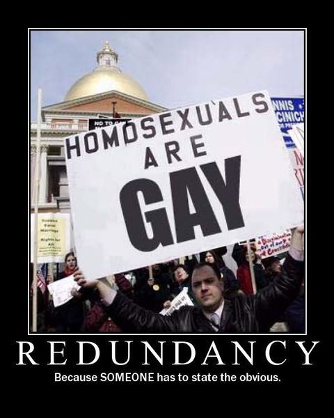 File:Homosexuals are gay.jpg