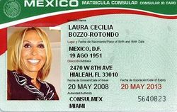 Laura Bozzo Facts for Kids