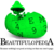 Beautifulopedia.png