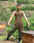 Chinesebees.jpg