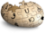 Uncyclopedia Puzzle Potato Notext.png