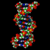 Dna.gif