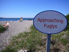 File:Fuglys.jpg