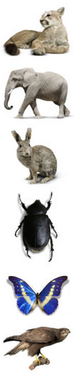 Grue - Uncyclopedia, the content-free encyclopedia