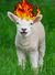 Burning-sheep.jpg