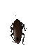Cockroach.gif