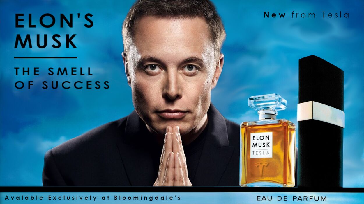 Elon's Musk.jpg