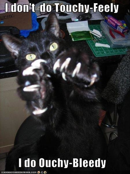 File:Funny-pictures-cat-threatens-you.jpg