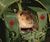 Beaverspace.jpg