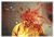 Exploding head123.jpg