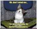 Funny-pictures-cat-thinks-he-is-better-than-you.jpg