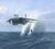 JetSki.jpg