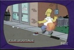 Homer pants on fire.jpg